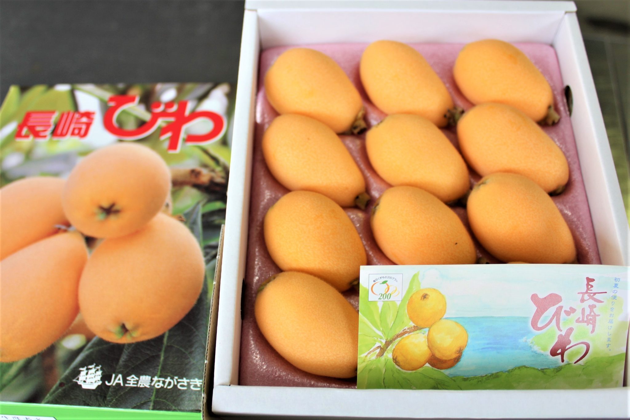 ハウスびわ出荷最盛期迎える／させぼ北部営農経済センター JAながさき西海