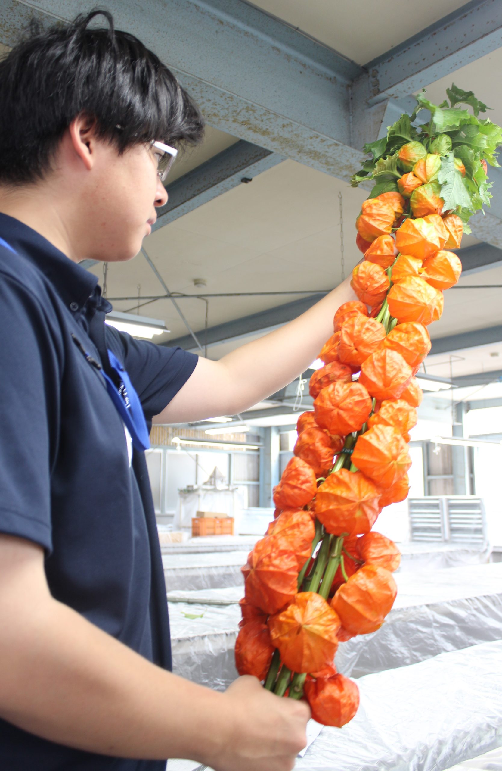 675e1acf876b543a42dae0cfd7e254