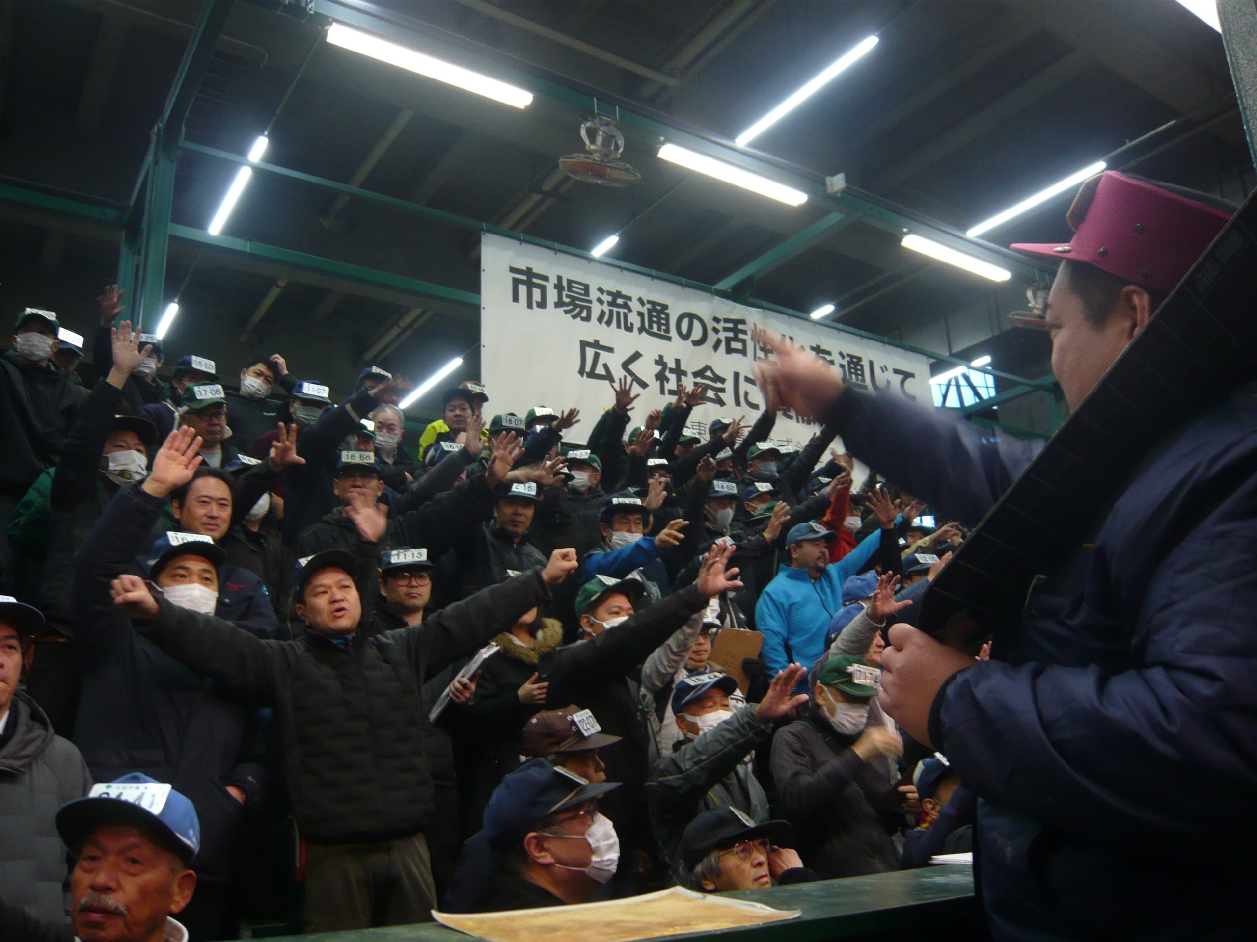 させぼ温州みかん「出島の華」が5キロ20万円で競り落とされました
