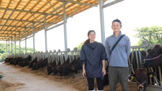 和牛の繁殖 | JAながさき西海