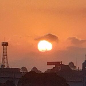 新年のご挨拶🎍