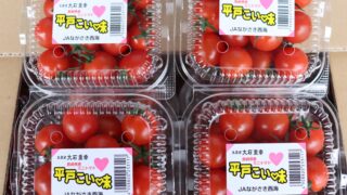 ミニトマト出荷スタート | JAながさき西海