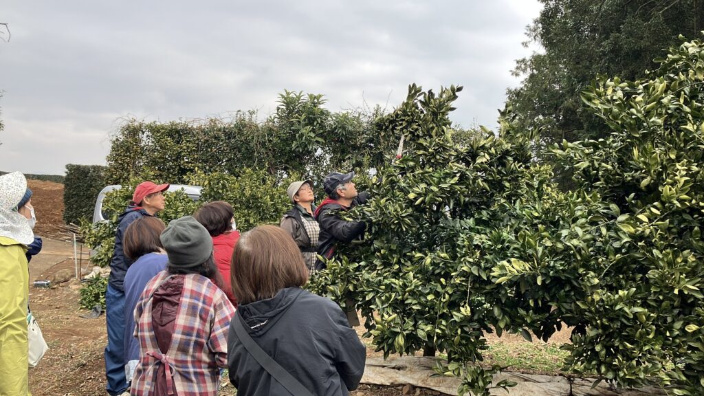 女性農業者の為の剪定講習を開く