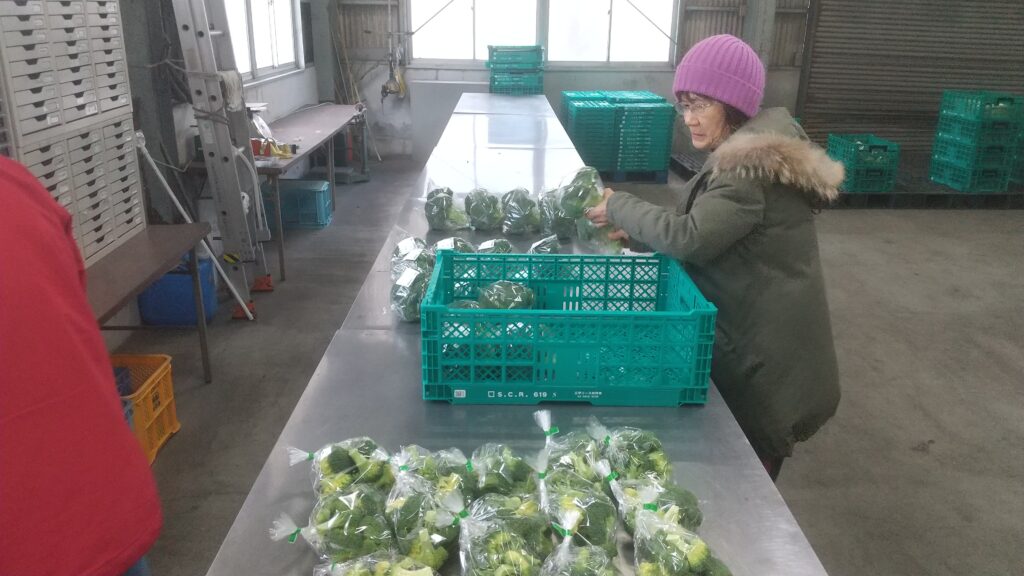 集荷ビジネス「農サポ」９年目