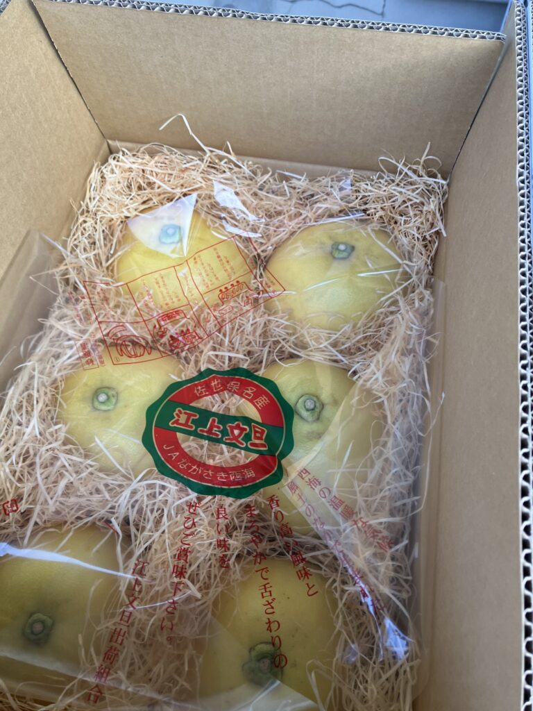「江上文旦」出荷！