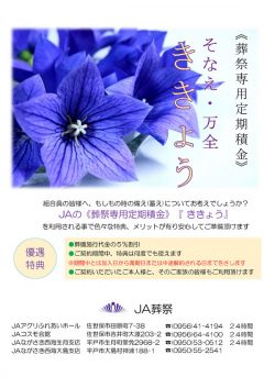 kikyou_tirasi01